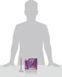 Pokemon TCG - Scarlet & Violet Elite Trainer Box (ETB) - Miraidon
